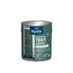 Vernice multisupporto - Verde cedro - RAL 6000 - Opaco - Ripolin - 2L