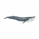 14806 Blue Whale