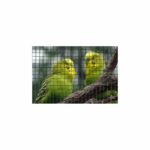 Rete metallica quadrata - NATURALE - 0,5 x 3 m - spessore 19 mm - Verde - immagine 2