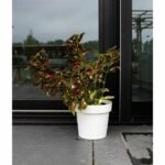 Vaso rotondo con serbatoio - GARDEN ID - Glamour - Ø 50 - 47 L - H 43 cm - Bianco
