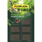 Bastoncini di fertilizzante - ALGOFLASH - Piante verdi - 30 bastoncini - UAB