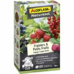 Fertilizzante per fragole e piccoli frutti - ALGOFLASH NATURASOL - Lunga durata - 800 g - UAB