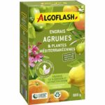 Fertilizzante per agrumi - ALGOFLASH - Agrumi e piante mediterranee - 800 g - UAB