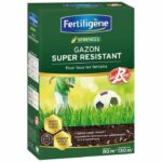FERTILIGENE Super Resistant Grass All Terrain - 2 kg