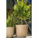 Vaso Ball - CAPI EUROPE - Rib NL - 35 x 34 cm - Beige - immagine 2