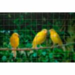Rete metallica quadrata - NATURALE - 1 x 3 m - spessore 19 mm - grigia - immagine 3
