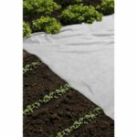 Lana di forzatura - NATURA - 17 g/m² - 2 x 10 m - Bianca - immagine 2