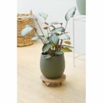Supporto per vaso con ruote - NATURE - WPC H7.5 x Ø30 cm - 4 ruote - Legno - immagine 4