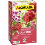 Fertilizzante per gerani - ALGOFLASH - Gerani, aiuole e balconi - 800 g - UAB