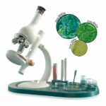 Canal Toys - So Science - Microscopio Lab Edition con ingrandimento fino a 1600x, filtro RGB e supporto per telefono - COS 004 - immagine 4