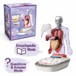 Canal Toys - So Science - Corpo umano interattivo 3D con organi rimovibili e quiz educativo - COS 005