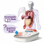 Canal Toys - So Science - Corpo umano interattivo 3D con organi rimovibili e quiz educativo - COS 005 - immagine 3