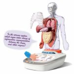 Canal Toys - So Science - Corpo umano interattivo 3D con organi rimovibili e quiz educativo - COS 005 - immagine 5