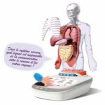 Canal Toys - So Science - Corpo umano interattivo 3D con organi rimovibili e quiz educativo - COS 005 - immagine 6