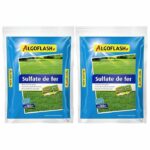 Integratore minerale - ALGOFLASH - Solfato di ferro - 5 kg