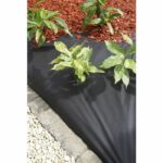 Feltro geotessile - NATURA - 10 x 1 m - 120 g/m² - Per vialetti e aiuole - Nero - immagine 4