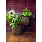 Vaso cilindrico - CAPI EUROPE - Groove NL - 44 x 46 cm - Nero/oro - immagine 2