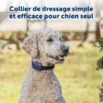 Sistema di addestramento PetSafe - Portata 90 m - Addestramento cani - immagine 4