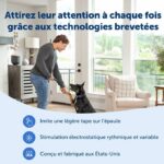 Sistema di addestramento PetSafe - Portata 90 m - Addestramento cani - immagine 5