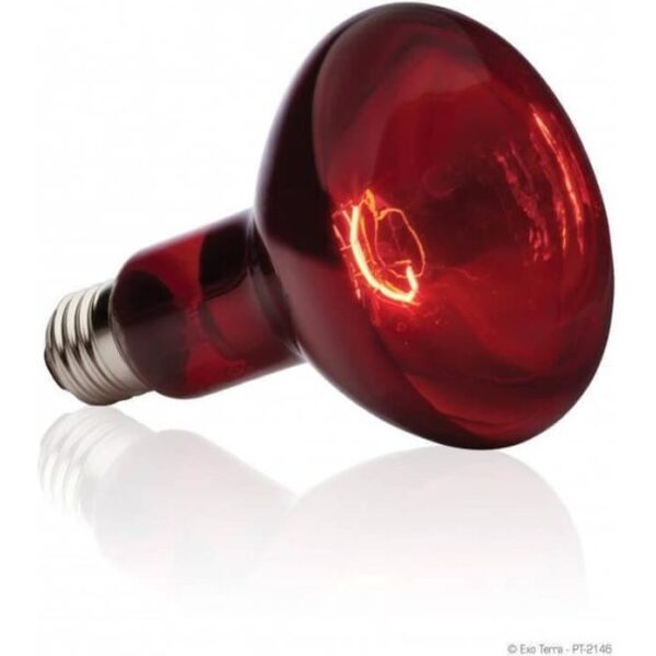 BASKING SPOT lamps infrared 75 W