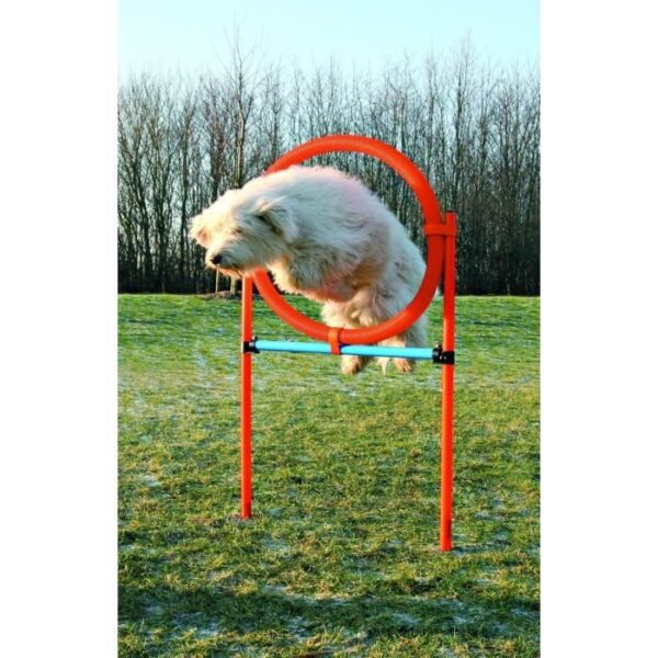 TRIXIE Dog Agility Hoop 115 x 3cm Plastic