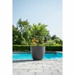 Flowerpot - GARDEN ID - Phoenix Anthracite - 38 x 34 cm - 100% Recycled and Recyclable - Frost and UV Resistant - For Outdoors - Image 2