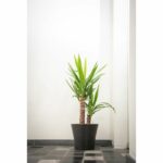 Flowerpot - GARDEN ID - Green Care Sense Black-Anthracite - 40 x 34 cm - 10 year warranty - 100% recycled - UV and frost resistant - Image 5