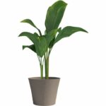 Flowerpot - GARDEN ID - Green Care Sense Taupe - 50 x 41 cm - 10 year warranty - 100% recycled - UV and frost resistant - Image 3