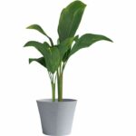 Flowerpot - GARDEN ID - Green Care Sense Blue Stone - 50 x 41 cm - 10 year warranty - 100% recycled - UV and frost resistant - Image 3