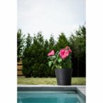 Flowerpot - GARDEN ID - Green Care Sense Black-Anthracite - 50 x 41 cm - 10 year warranty - 100% recycled - UV and frost resistant - Image 5