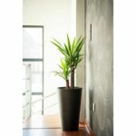 Tall flowerpot - GARDEN ID - Green Care Sense Tall Black-Anthracite - 55 cm - 10 year guarantee - 100% recycled - UV and frost resistant - Image 4
