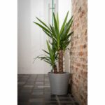 Water reserve pot - GARDEN ID - Green Care Sense Taupe 30 cm - 10-year guarantee - 100% recycled - Image 3