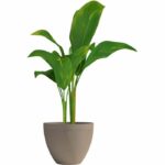 Flowerpot - GARDEN ID - Green Care Impact Taupe - 30 x 26 cm - 10-year guarantee - 100% recycled - UV/frost resistant - Image 3