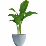 Flowerpot - GARDEN ID - Green Care Impact Blue-Grey - 30 x 26 cm - 10-year guarantee - 100% recycled - UV/frost resistant - Image 3