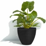 Flowerpot - GARDEN ID - Green Care Impact Black-Anth - 30 x 26 cm - 10-year guarantee - 100% recycled - UV/frost resistant - Image 5