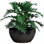 Cup - GARDEN ID - Green Care Impact Black-Anth - 30 x 14 cm - 10-year guarantee - 100% recycled - UV/frost resistant - Image 3