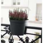 Balustrade pot - GARDEN ID Smile - Anth. 30 cm - Fits all balustrades - Water reserve - recycled and 100% recyclable - Image 5