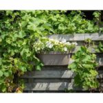 Planter + hook - GARDEN ID Star - Taupe 50 x 21 cm - Easy fixing - Water reserve - recycled and 100% recyclable - Image 3