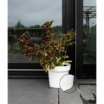 Water reserve pot - GARDEN ID Glamour - White 40 cm - Grainy surface - Indoor/outdoor - Sleek design. - Image 2