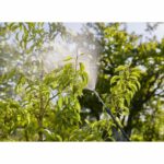 GARDENA Backpack Sprayer 12L - Image 4
