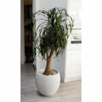 EDA Round Pot Graphit Ø50cm - Capacity 46L - Cenguse white - Image 2