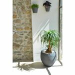 EDA Round Pot Graphit Ø50cm - Capacity 46L - Anthracite Gray - Image 3