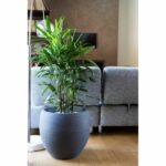 EDA Round Pot Graphit Ø50cm - Capacity 46L - Anthracite Gray - Image 4