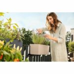 Jardiniere - Balconera color 50 - Complete kit - Sand brown - 8 L - LECHUZA - Image 3