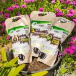Nettle Manure - TERRA NOSTRA - Concentrate - 1.5 L - Image 4