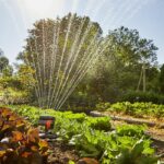 GARDENA WORSHIP AQUAZOOM COMPACT-Surface 216m²-Range 18m max-UV and Gel resistant-5 years warranty (18708-20) - Image 4