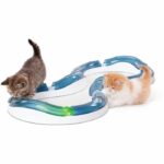 Cat Toy - CATIT - Senses 2.0 Super Roller Circuit - Play Circuit with Ball - Image 2