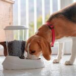 FERPLAST Dispenser Zenith 3L plastic - 29,2x20,2x28,8 - White - Dog and cat - Image 2