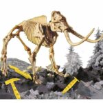 I'M GENIUS Super Kit Mammoth New For Kids - Image 2