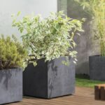 Cube Flower Pot - DEROMA - Millennium R - Anthracite - Self-Watering - Casters - 49 cm - Image 3